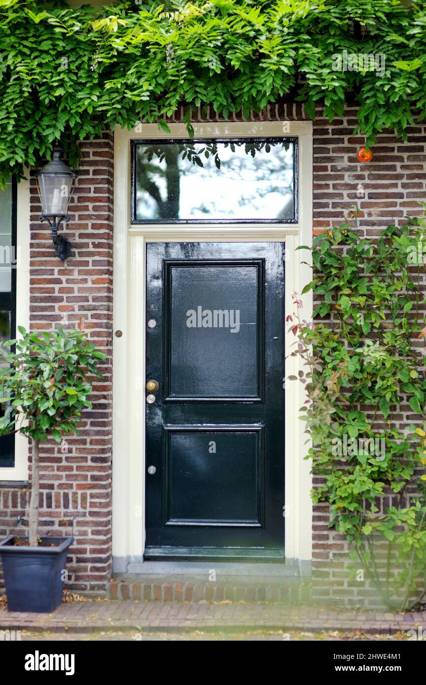 Portico di una casa decorata con vasi di fiori e piante verdi in una tipica strada di Amsterdam, Olanda, Paesi Bassi Foto Stock