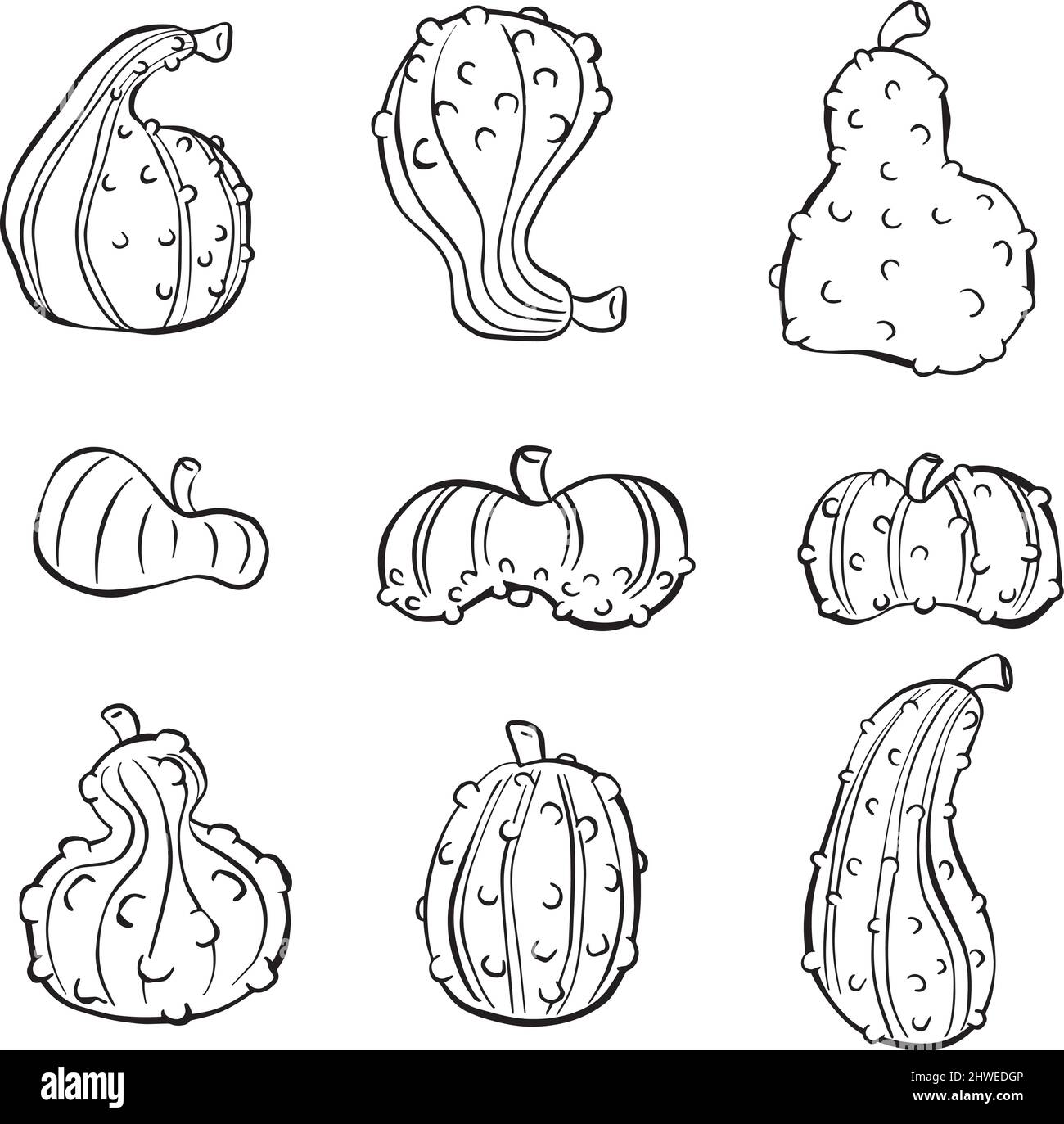 Ornamentale Garden Gourd Pumpkin per illustrazioni di Harvest Celebration Illustrazione Vettoriale