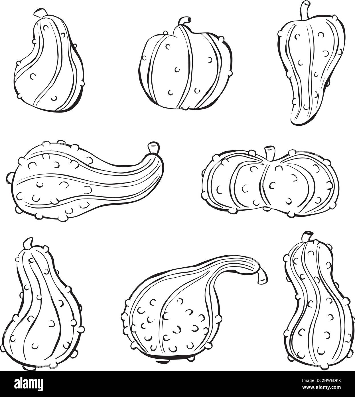 Ornamentale Garden Gourd Pumpkin per illustrazioni di Harvest Celebration Illustrazione Vettoriale
