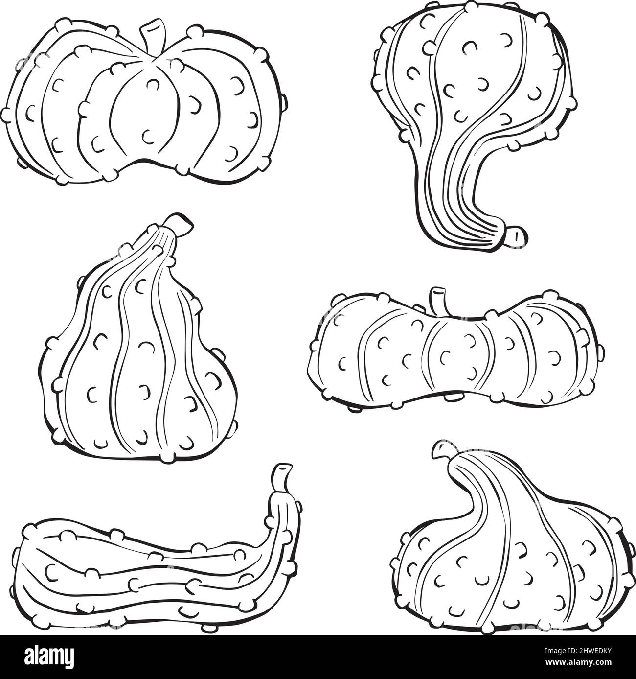 Ornamentale Garden Gourd Pumpkin per illustrazioni di Harvest Celebration Illustrazione Vettoriale