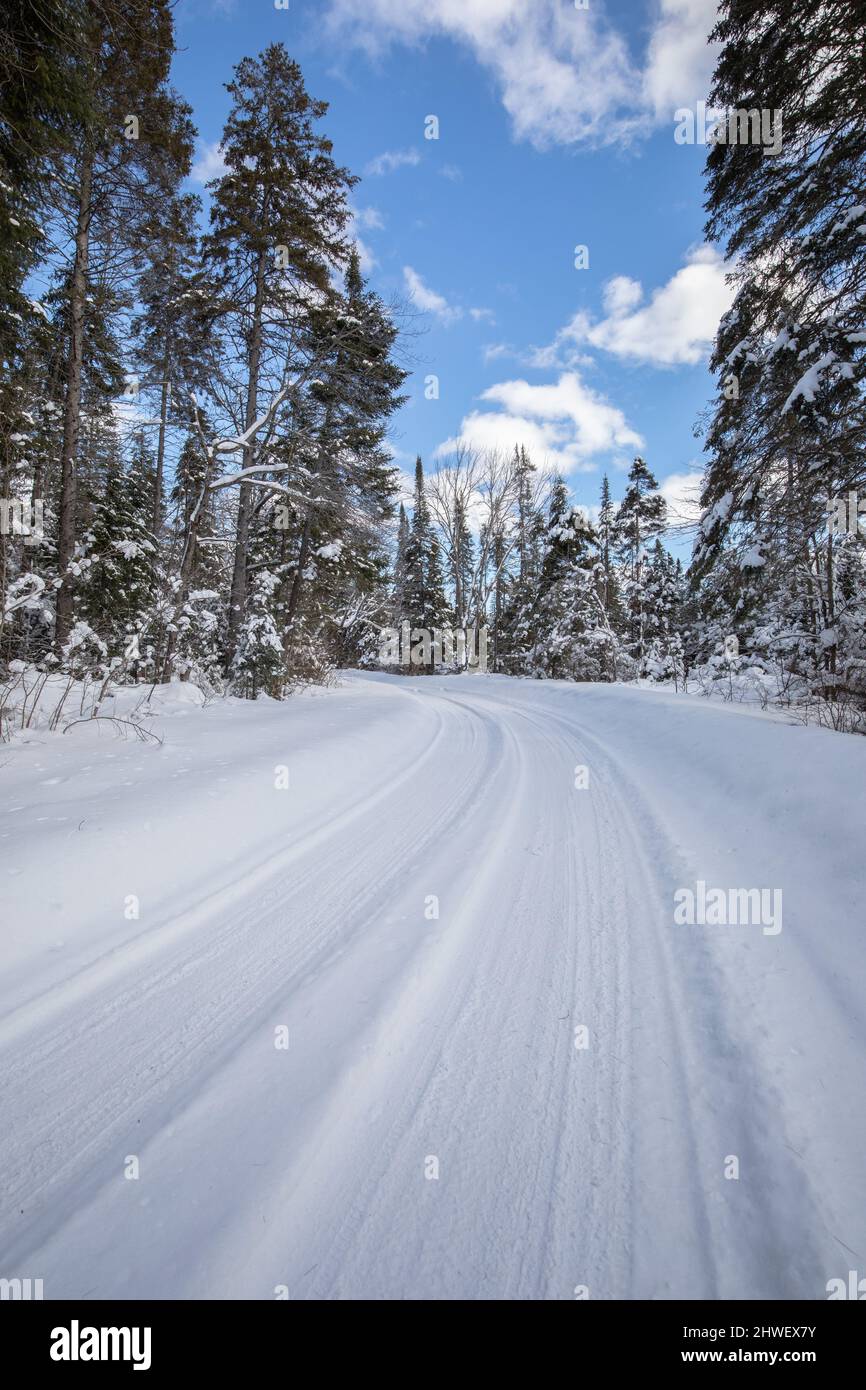 Neve coperte gli alberi lungo la strada per Tea Lake diga in Algonquin Park Ontario nel mese di marzo Foto Stock