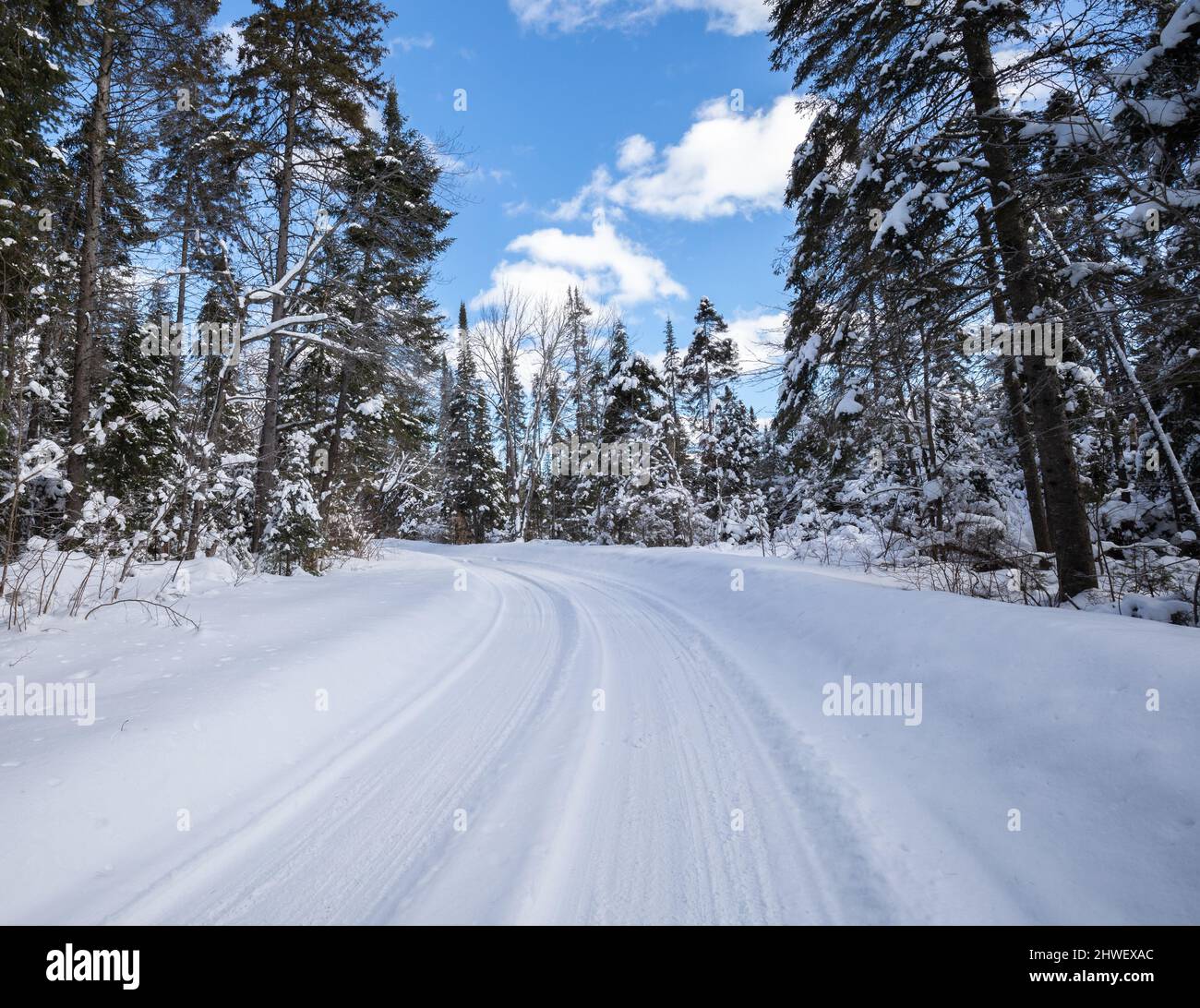 Neve coperte gli alberi lungo la strada per Tea Lake diga in Algonquin Park Ontario nel mese di marzo Foto Stock