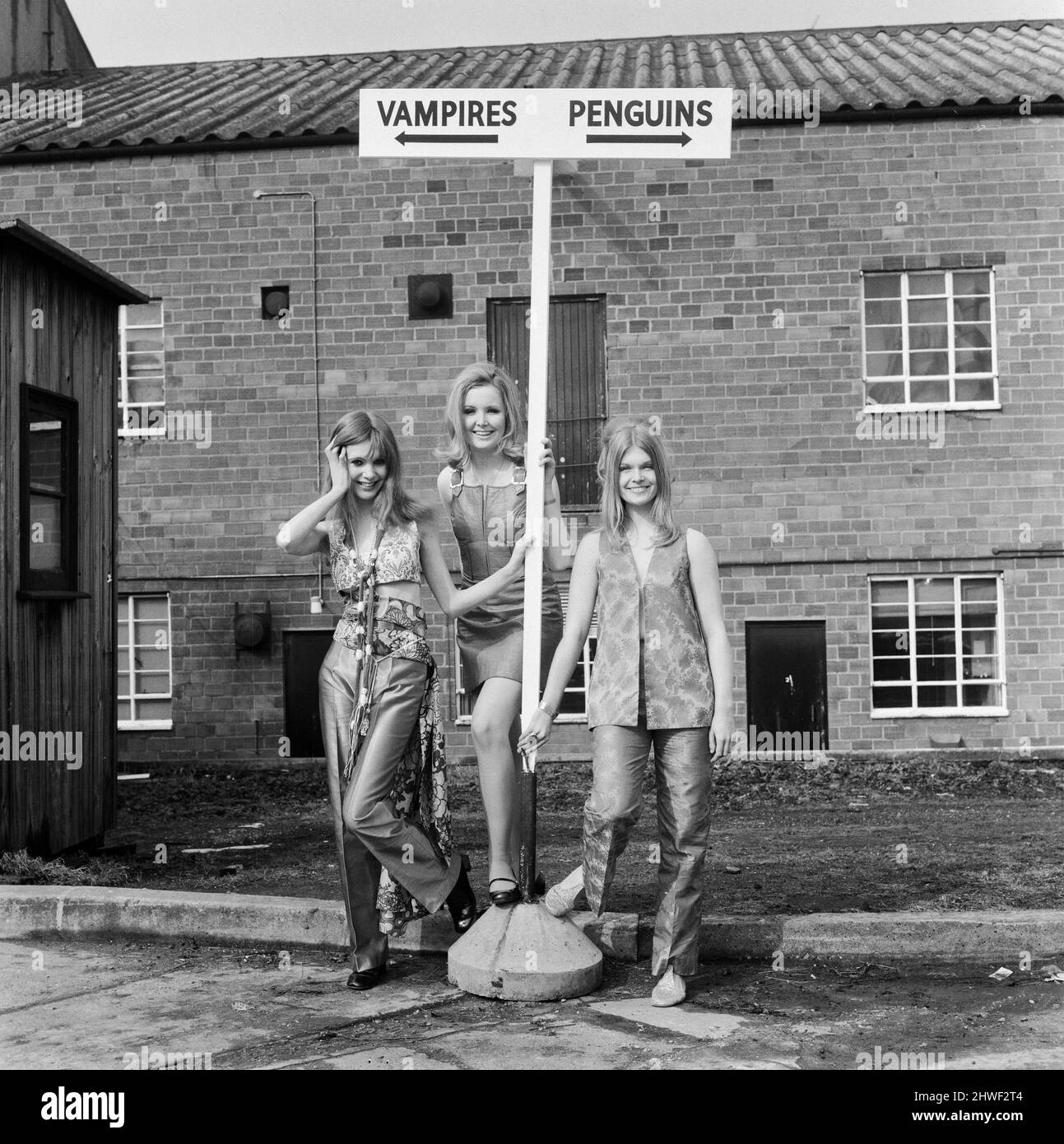 Tre delle attrici della produzione horror Hammer 'The Vampire Lovers' da sinistra a destra: Madeline Smith, Pippa Steel e Janet Key fotografate da un cartello sul loro cammino per filmare il loro prossimo film Forbush e i pinguini agli Elstree Studios.12th Marzo 1970. Didascalia locale *** Maddy Smith Foto Stock