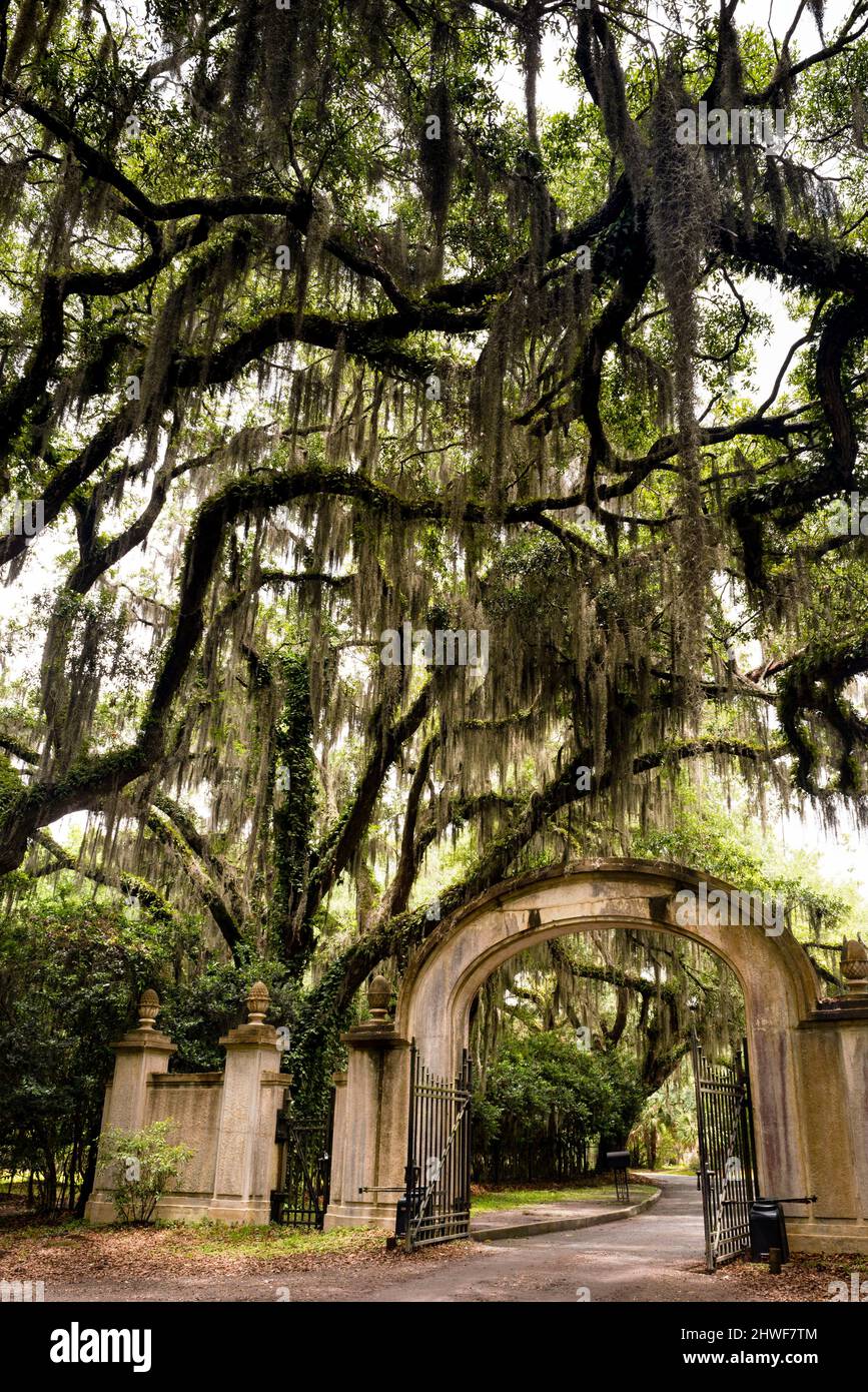 Ingresso al sito storico di Wormsloe a Savannah, Georgia, in stile neogotico. Foto Stock