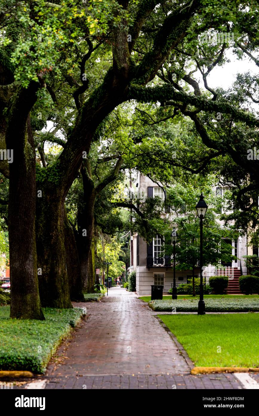 Savanna - distretto storico di Georgi. Foto Stock