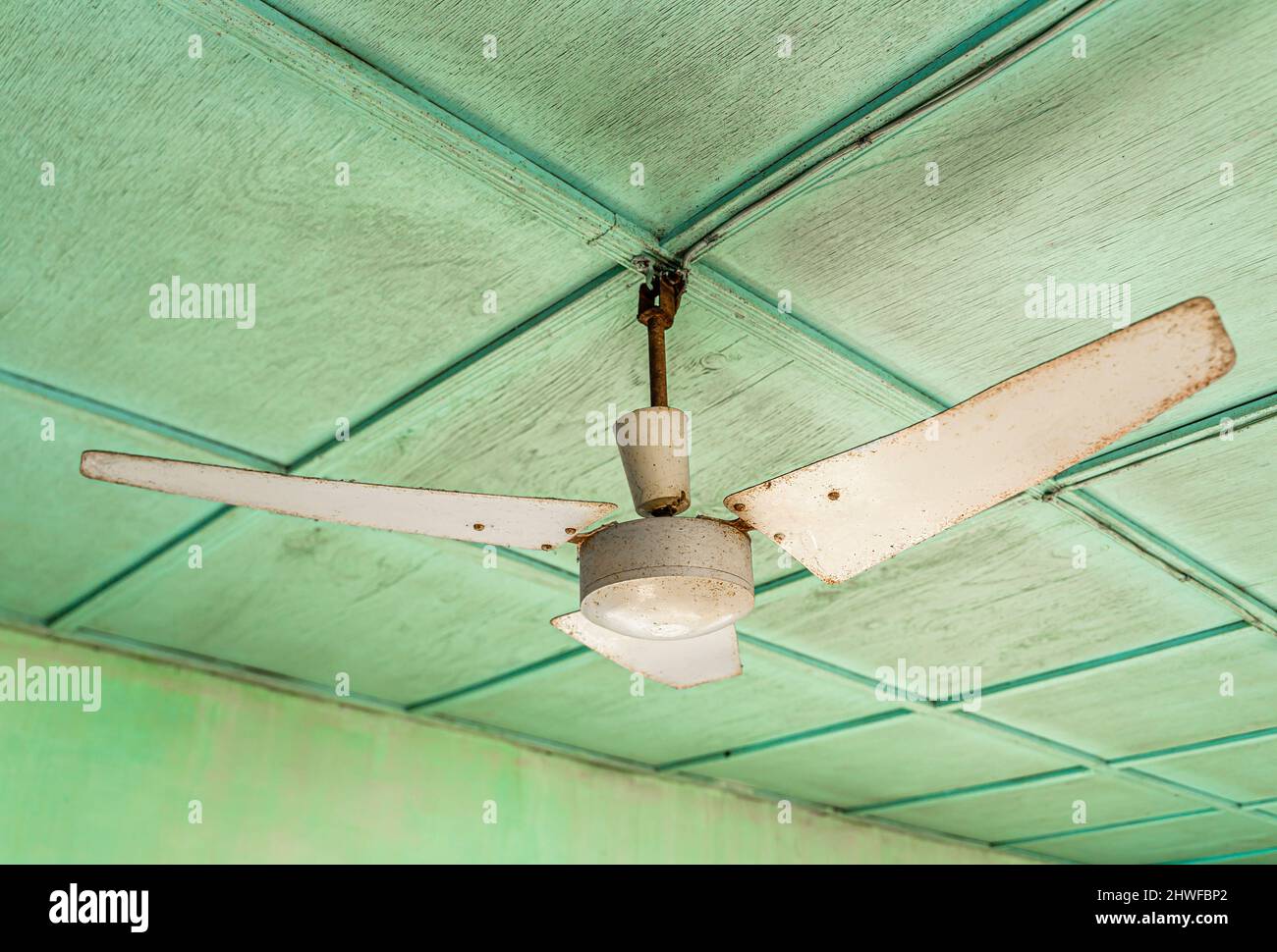 Ventilatore da soffitto bianco polveroso ad alimentazione elettrica montato su un vecchio soffitto verde dipinto Foto Stock