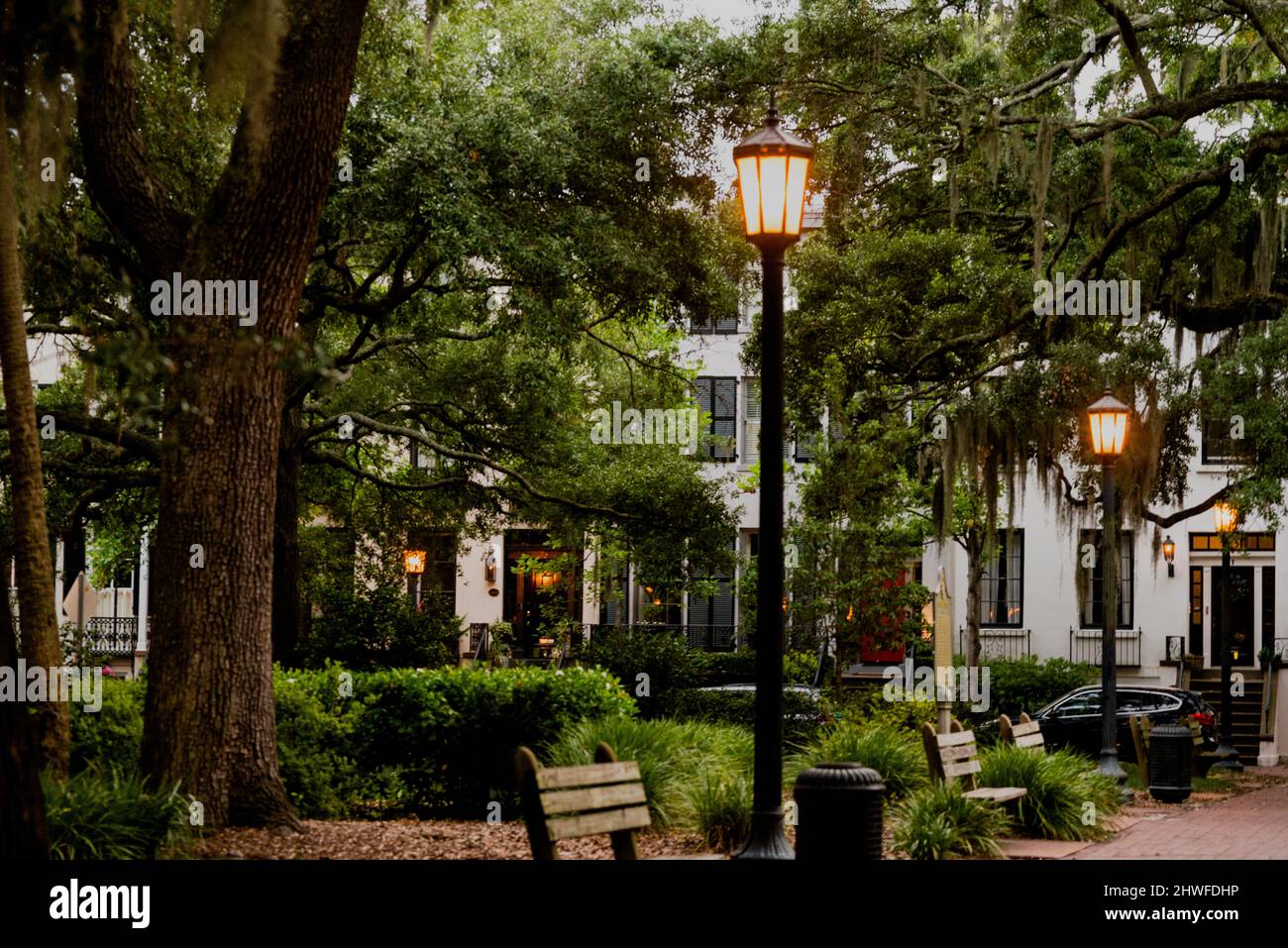 L'affascinante centro di Savannah con marciapiedi in mattoni e querce drappeggiate di muschio spagnolo. Foto Stock