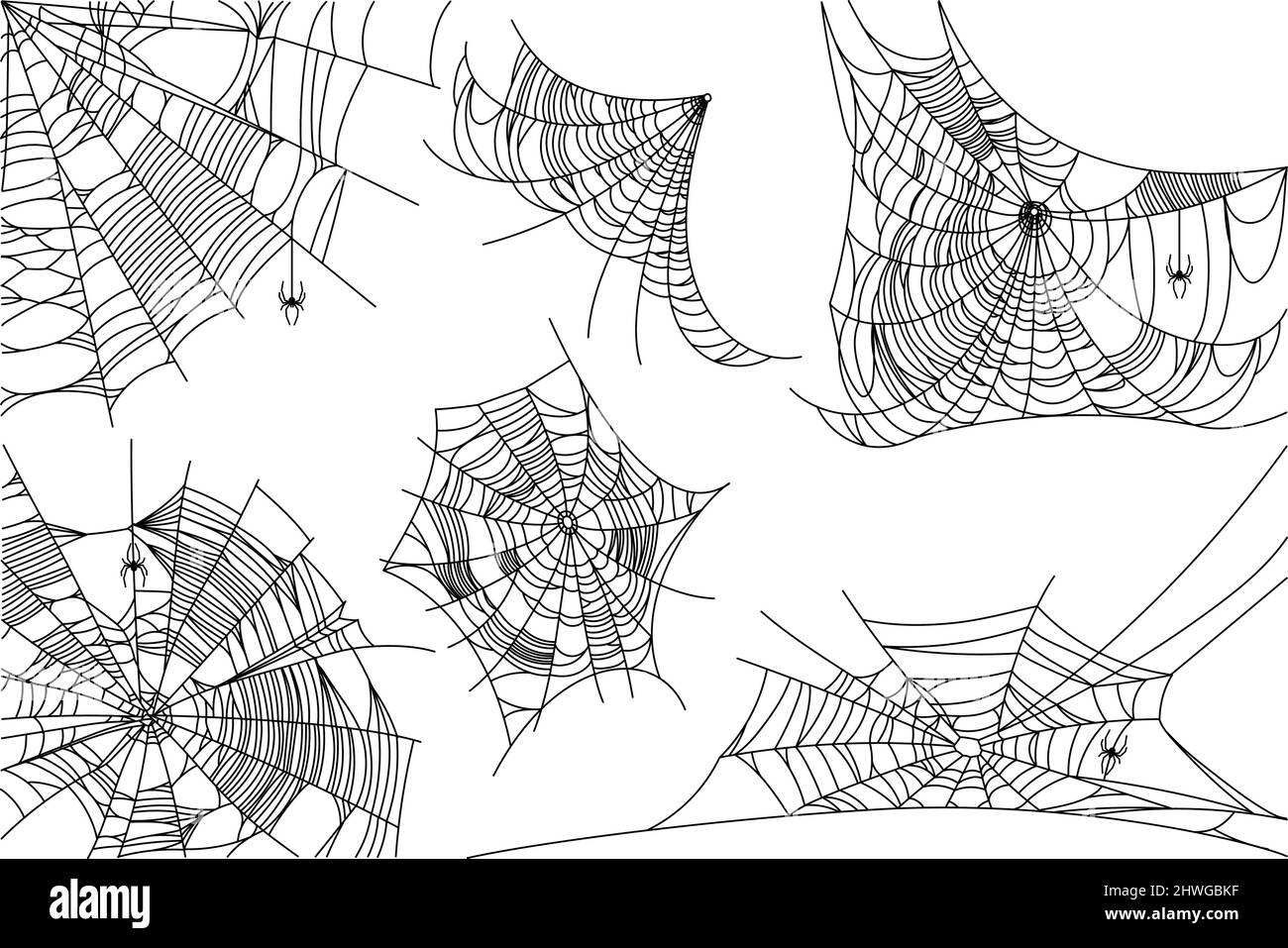 Le parti di ragnatela sono isolate su sfondo bianco. Spaventoso profilo di cobbweb decor. Elementi vettoriali di design per Halloween, horror, fantasma o mostro party, inviti e poster. Illustrazione Vettoriale