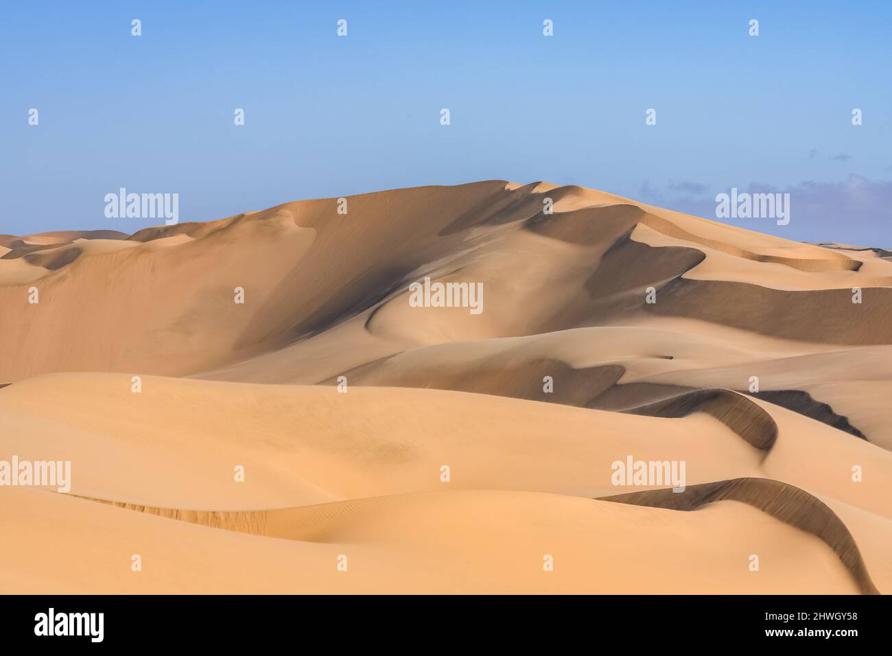 Namibia, il deserto del Namib, paesaggio grafico di dune gialle Foto Stock