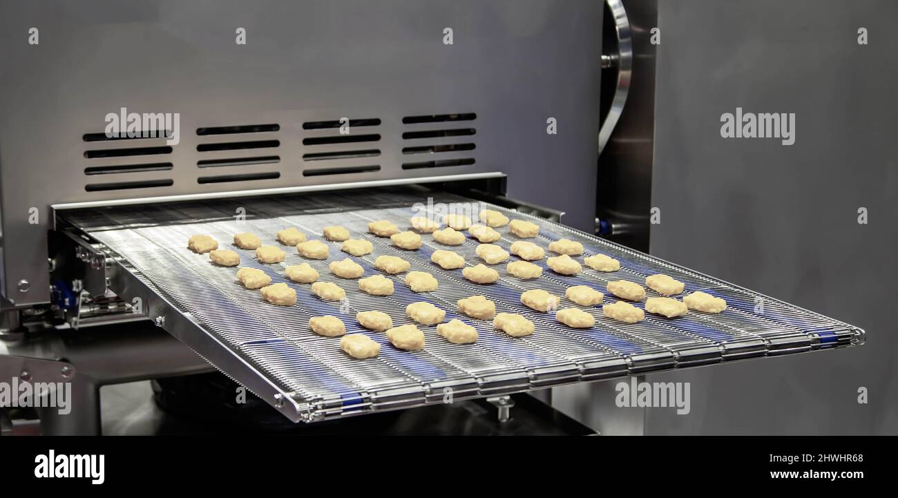 Macchina rotativa per la formazione della carne di pepite di pollo per l'industria alimentare Foto Stock