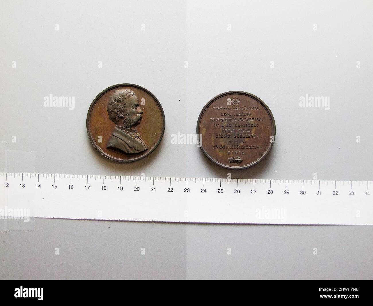 Medaglia di Giuseppe Meneghini. Oggetto: Giuseppe Meneghini, italiano, 1811–1889 Mint: Sconosciuto artista: Luigi Gori, italiano Foto Stock