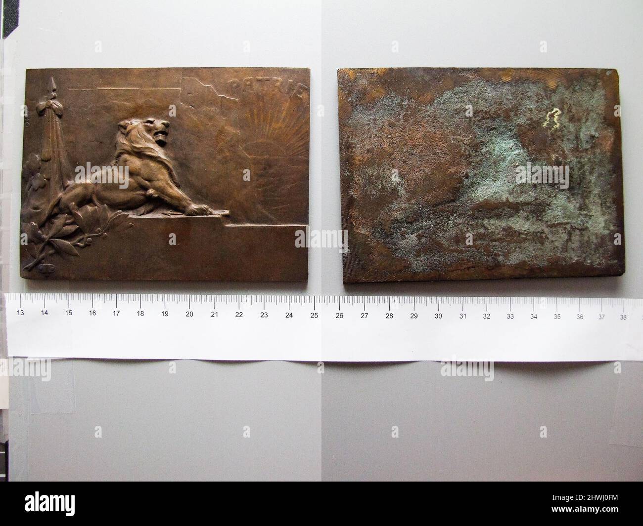 Plaquette di bronzo dalla Francia che commemora il patriottismo durante la prima guerra mondiale Artista: Heinrich Kautsch, austriaco, 1859–1943 Foto Stock