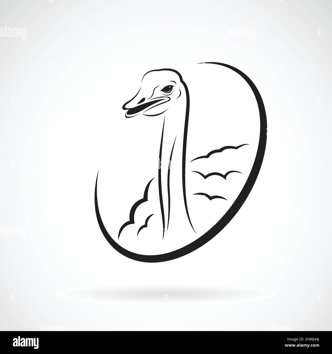 Vettore di disegno struzzo su sfondo bianco. Logo. Animali selvatici. Illustrazione vettoriale a livelli facilmente modificabile. Illustrazione Vettoriale