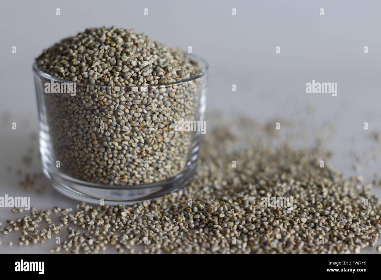 Bajra è un nome hindi tradizionale per il glaucum Pennisetum raccolto anche noto come miglio perla. Il grano è cresciuto primariamente in Africa e India, dove Foto Stock