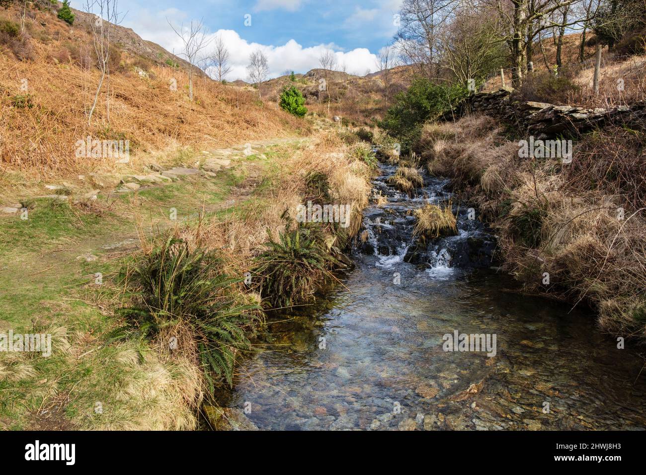 Ruscello accanto a un sentiero a CWM Bychan nelle colline del Parco Nazionale di Snowdonia. Beddgelert, Gwynedd, Galles settentrionale, Regno Unito, Gran Bretagna Foto Stock