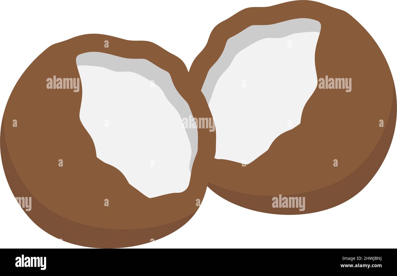 Immagine isolata del modello di icona Coconut Illustrazione Vettoriale