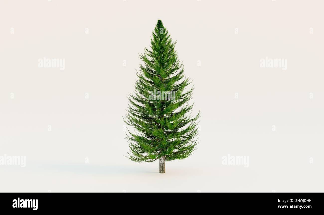 Albero di Natale su sfondo bianco con tracciato di ritagli, rendering di 3D illustrazioni Foto Stock