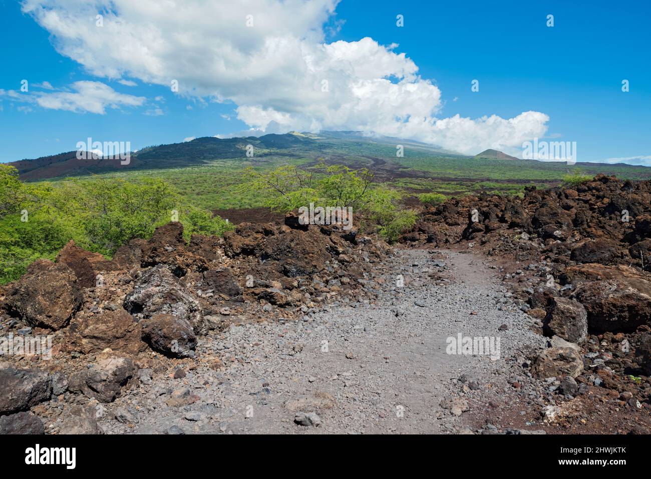 campo di lava e montagna lungo il sentiero hoapili al largo della baia di la perouse di maui meridionale Foto Stock