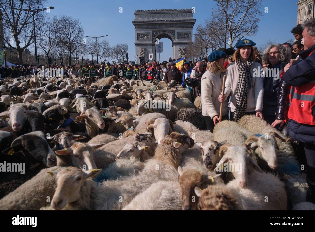 Parigi, Francia. 06th Mar 2022. Per celebrare la fine della fiera agricola di Parigi, una transumanza organizzata sugli Champs Elysees a Parigi, in Francia, il 6 marzo 2022. La transumanza sugli Champs Elysées, attraverso le regioni di Béarn e Bigorre. La sfilata si aprì con un re Enrico IV, su un cavallo bianco seguito da 2022 pecore accompagnate da pastori. Photo by Pierrick Villette/ABACAPRESS.COM Credit: Abaca Press/Alamy Live News Foto Stock