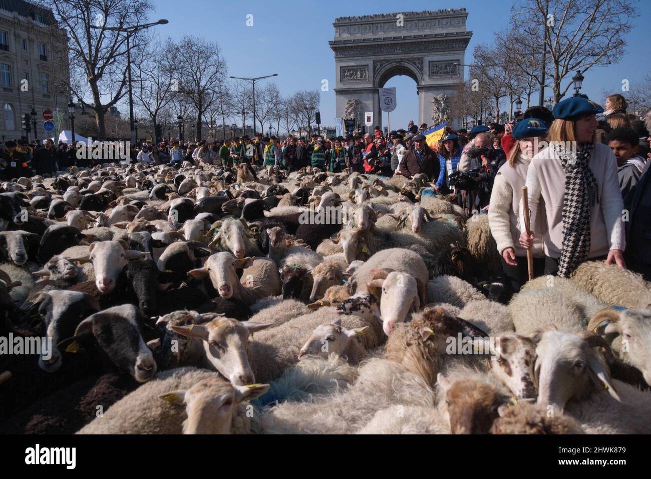 Parigi, Francia. 06th Mar 2022. Per celebrare la fine della fiera agricola di Parigi, una transumanza organizzata sugli Champs Elysees a Parigi, in Francia, il 6 marzo 2022. La transumanza sugli Champs Elysées, attraverso le regioni di Béarn e Bigorre. La sfilata si aprì con un re Enrico IV, su un cavallo bianco seguito da 2022 pecore accompagnate da pastori. Photo by Pierrick Villette/ABACAPRESS.COM Credit: Abaca Press/Alamy Live News Foto Stock