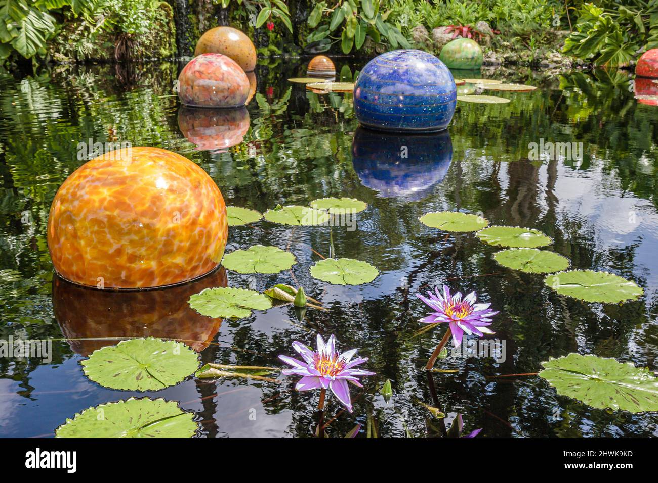 Miami Florida, Coral Gables, Fairchild Tropical Botanic Garden botanic, Chihuly vetro arte arte arte galleggianti palle palle pani di giglio Foto Stock