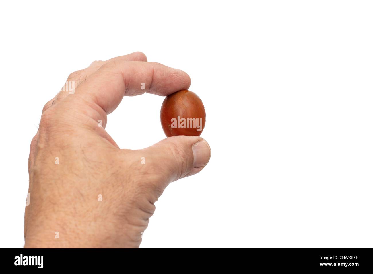 Una mano che tiene un pomodoro ciliegia, la varietà mini kumato. Isolato su sfondo bianco. Foto Stock