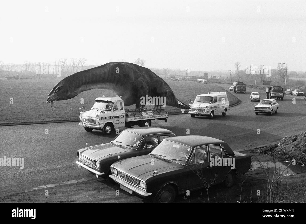 Un dinosauro in movimento in Essex. Un Cetiosaurus alto 16 metri e lungo 45 metri, una specie di dinosauro, di Alan Ross, ha lasciato Ramsgate questa mattina sulla strada per Aviemore, Scozia, attraverso il tunnel di Dartford. Il modello rimarrà per due o tre settimane a Canvey, mentre altri mostri preistorici realizzati da Ross si uniranno ad esso prima di procedere in Scozia, dove il signor Ross sta aprendo un parco preistorico. Il Cetiosaurus visto qui viaggiando lungo la Old Southend Road, dopo aver attraversato il tunnel di Dartford. 31st gennaio 1973 Foto Stock