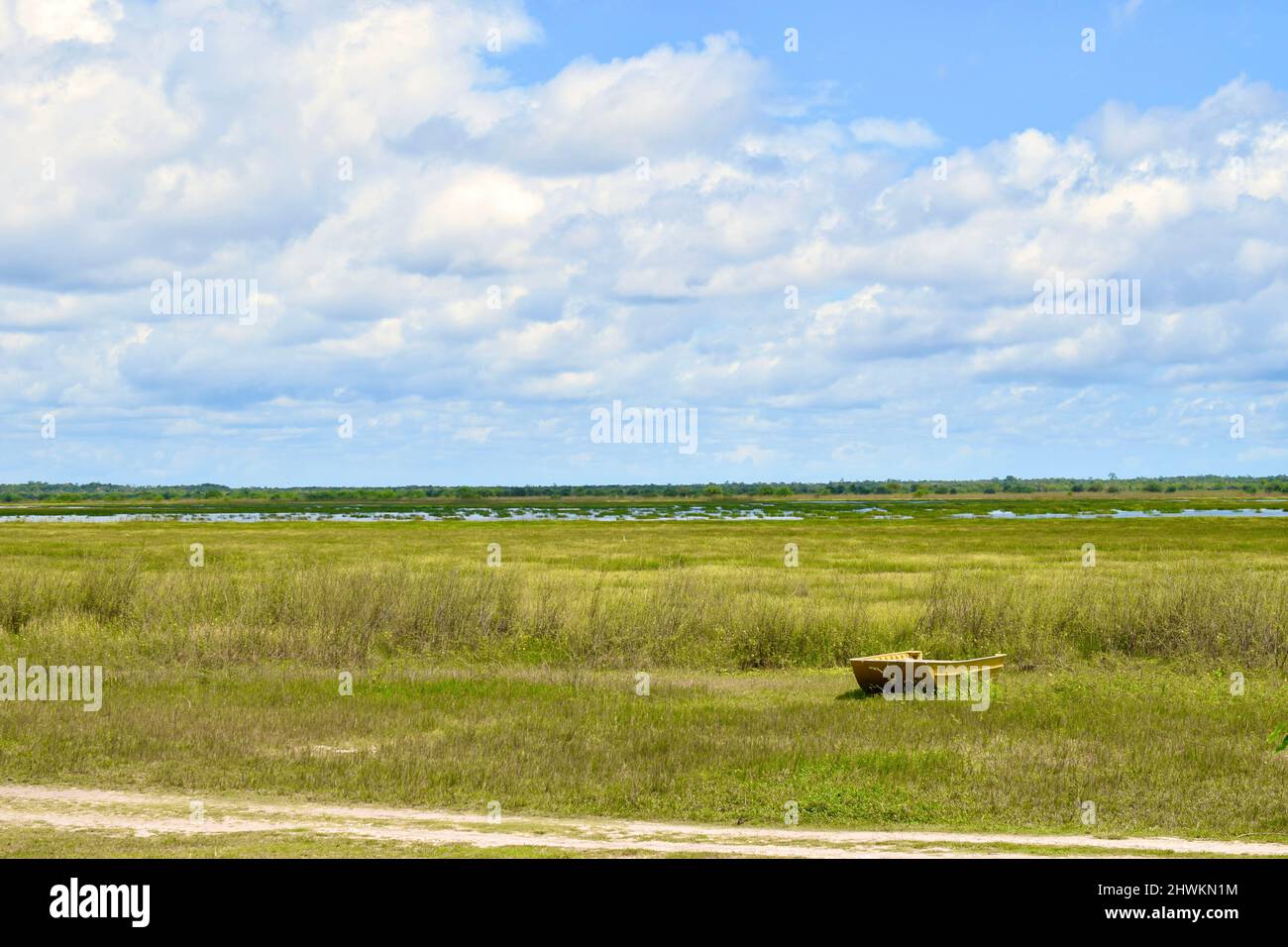 Le belle zone umide del National Wildlife Sanctuary a Crooked Tree, Belize. L'area è gestita dalla Belize Audubon Society. Foto Stock