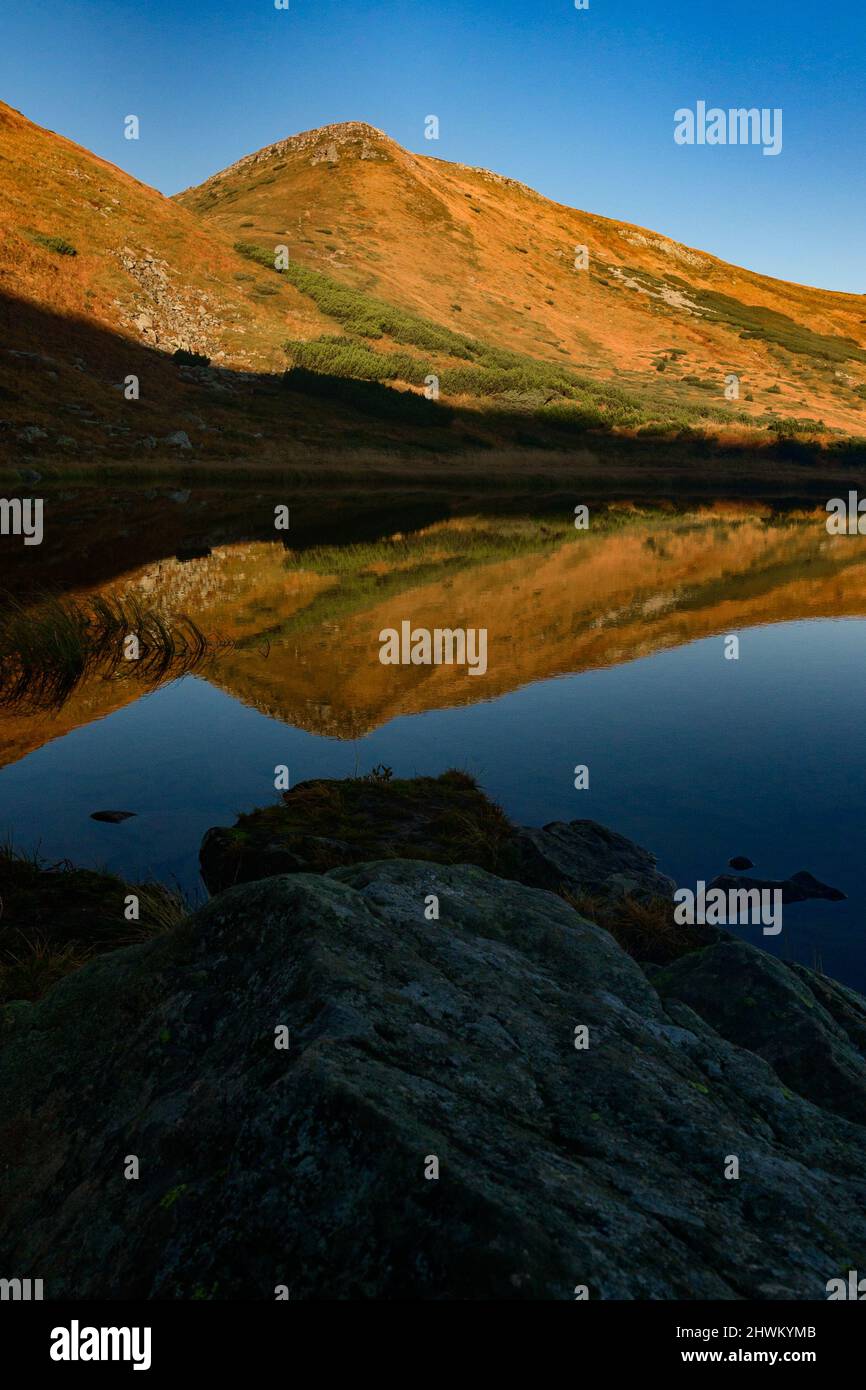 Riflesso del Monte Turkul nella riserva del Lago Nesamovyte, il Lago Nesamovyte e il Monte Turkul, paesaggi autunnali dei Carpazi, mattina nel Foto Stock