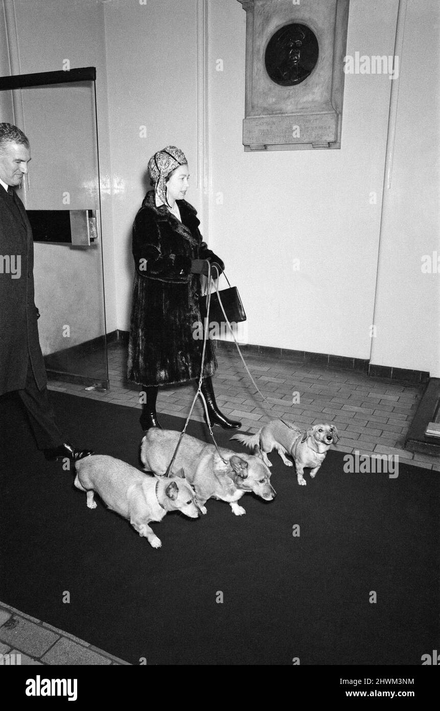 La famiglia reale a Natale e Capodanno. La foto mostra la Regina Elisabetta II che arriva con i suoi cani Corgi alla stazione di Liverpool Street. Lei e altri membri della famiglia reale prenderanno il treno reale diretto per Sandringham a Norfolk, dove trascorreranno il loro nuovo anno. Foto scattata il 28th dicembre 1972 Foto Stock