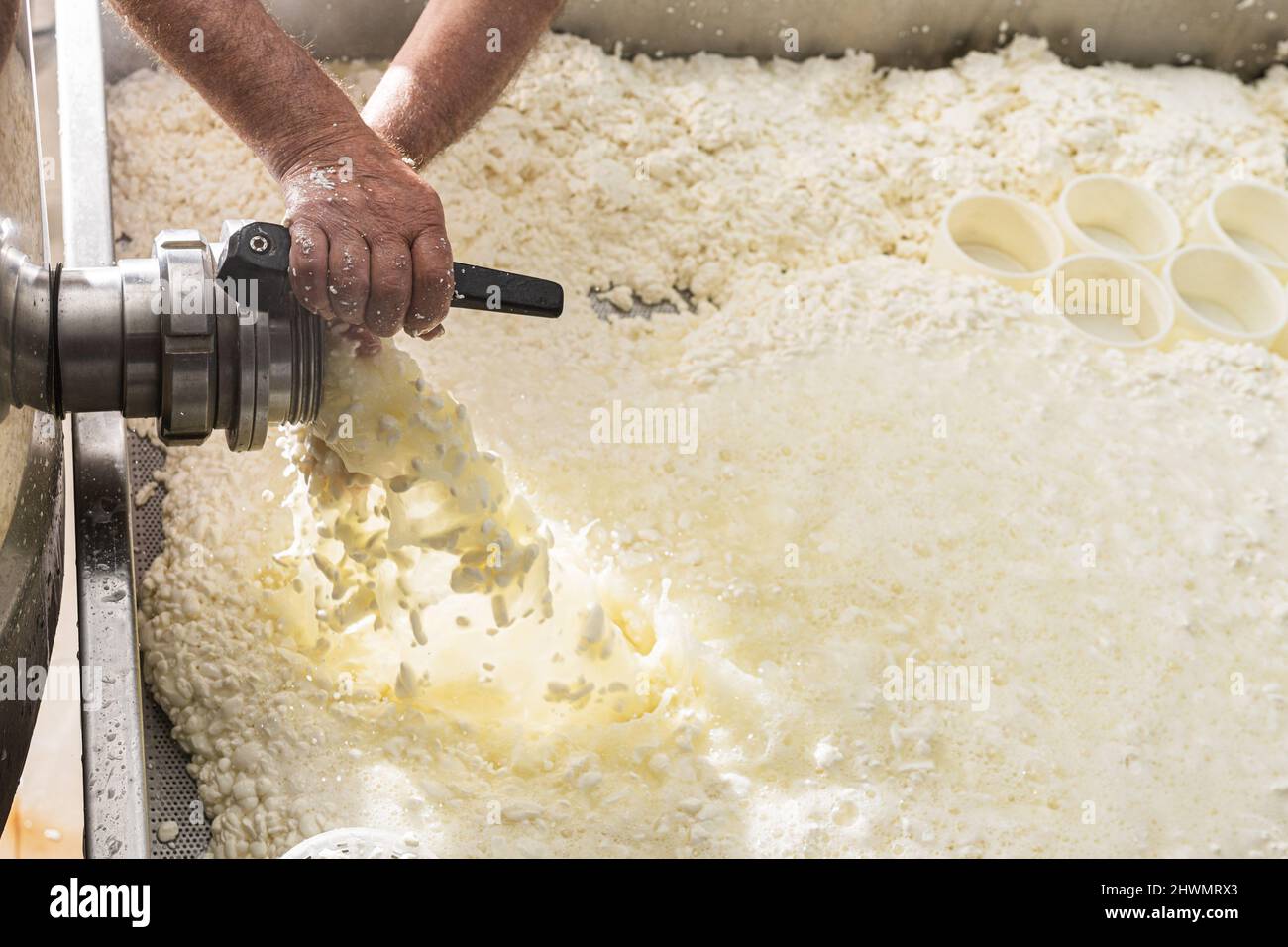 mani di un anziano che apre il rubinetto per far uscire la cagliata nella produzione di formaggio fresco. Foto Stock