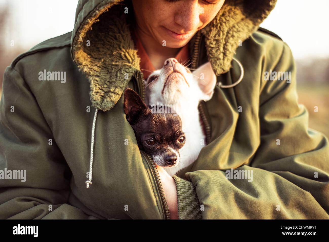 i cani carini rimboccati in giacca calda osservano la mamma con amore alla luce del sole Foto Stock