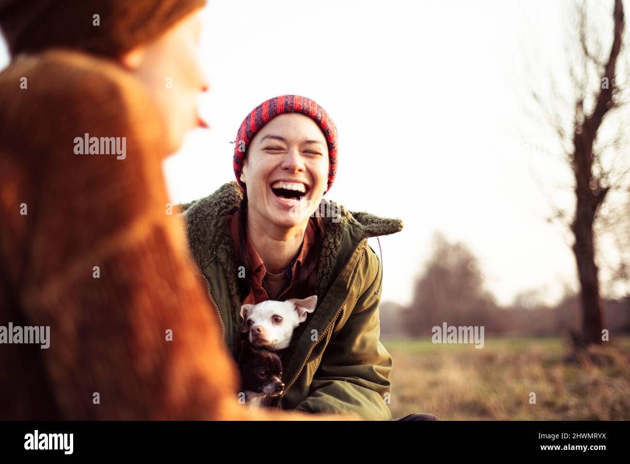 due amici ridono a scherzo con cani in inverno sole pic-nic in campo Foto Stock