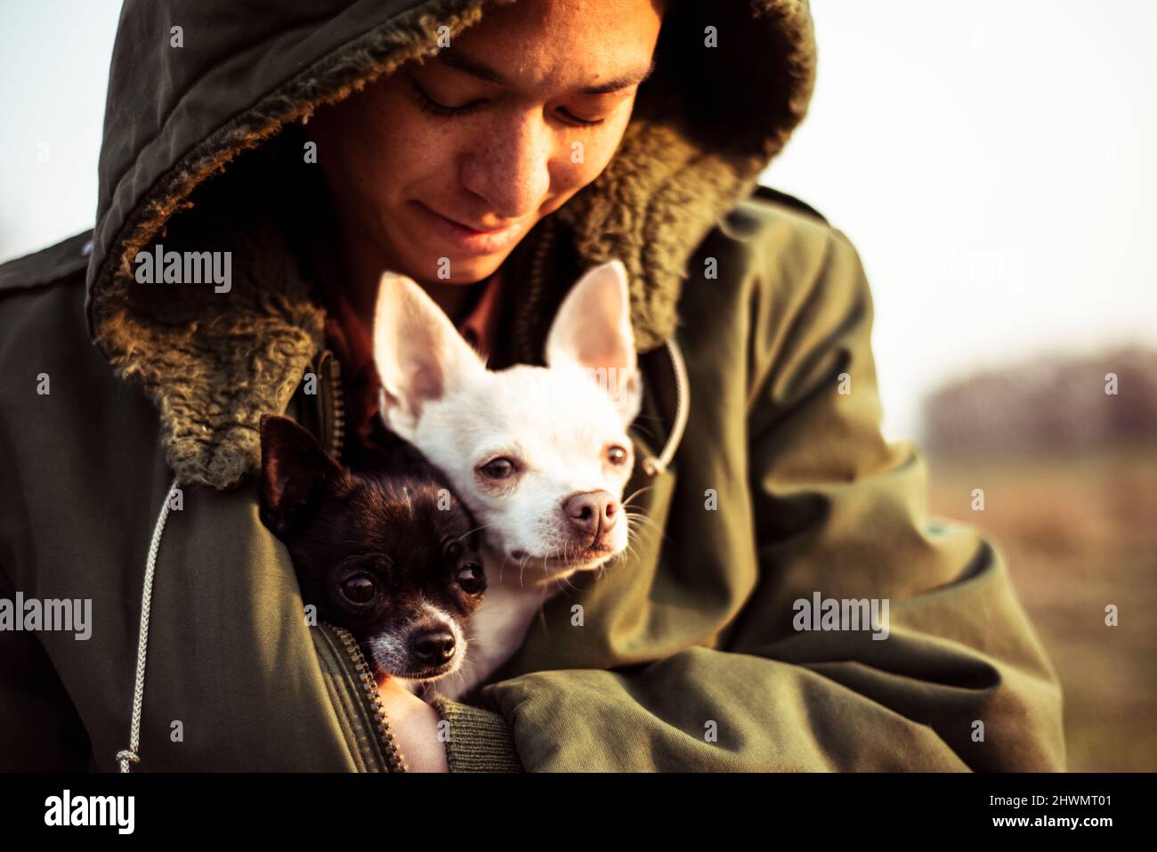 La persona infiltra due piccoli cani in una giacca calda fuori nel sole del pomeriggio Foto Stock