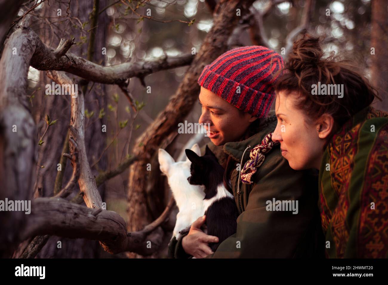 gli amici guardano attraverso rami al tramonto con il chihuahua piccolo in braccia Foto Stock