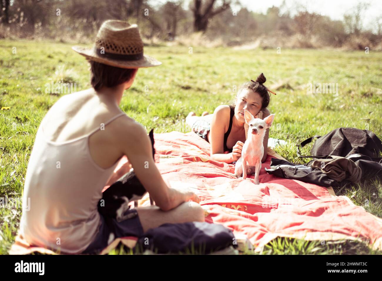 amici con cani chihuahua parlare all'aperto al pic-nic in prato sole Foto Stock