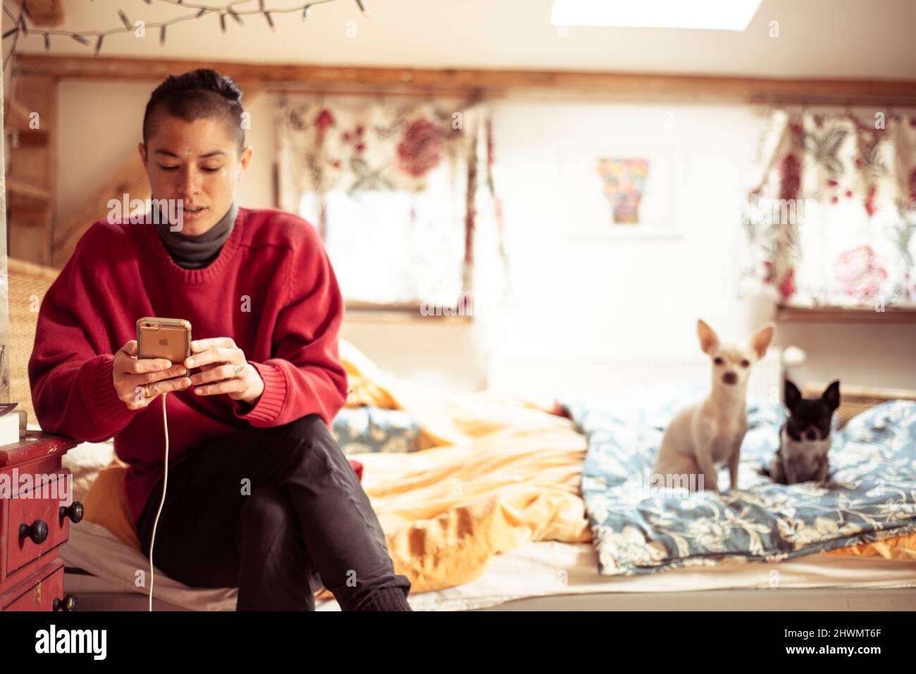 Persona androgina alternativa su dispositivo mobile in camera con due cani Foto Stock