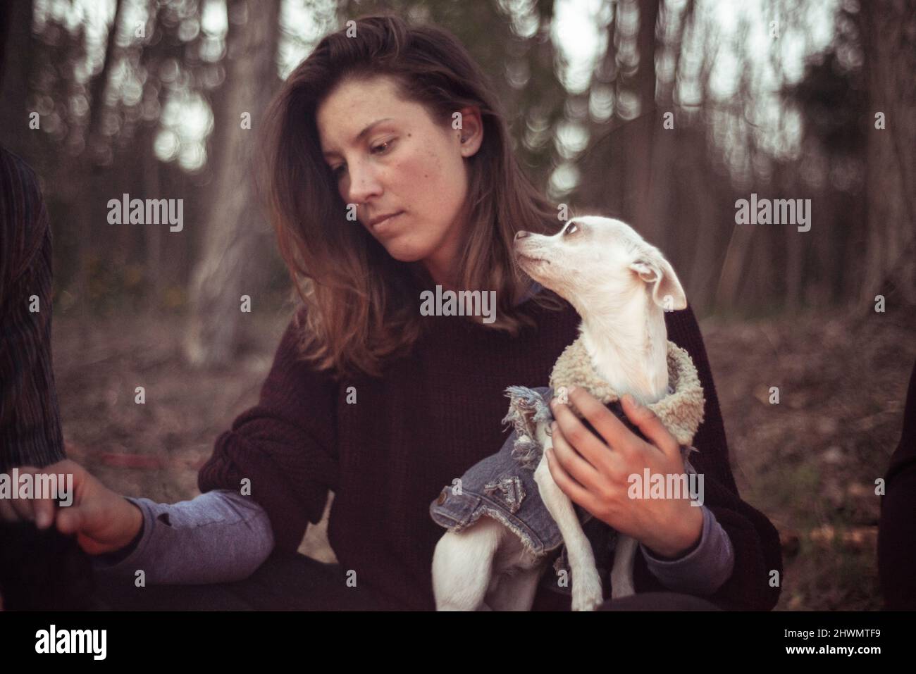 piccolo cane bianco in giacca gazes alla donna naturale guardare Foto Stock