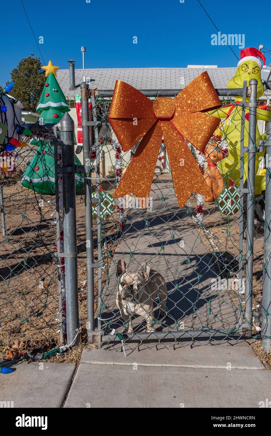 X-mas decorazioni in casa con cane al cancello, molto festoso per grande carta di Natale Foto Stock
