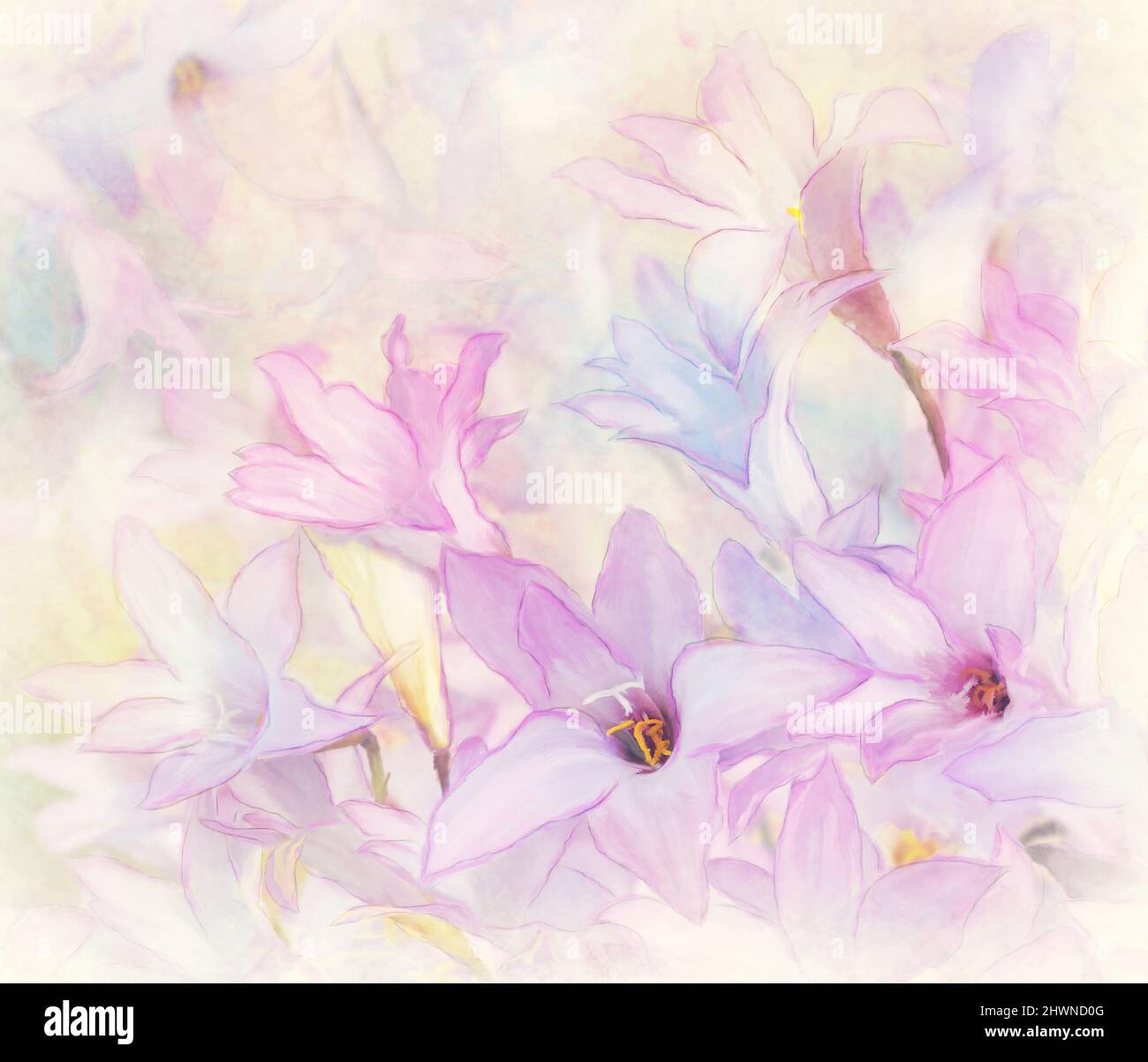 Sfondo del fiore Watercolor.Digital Illustration. Foto Stock