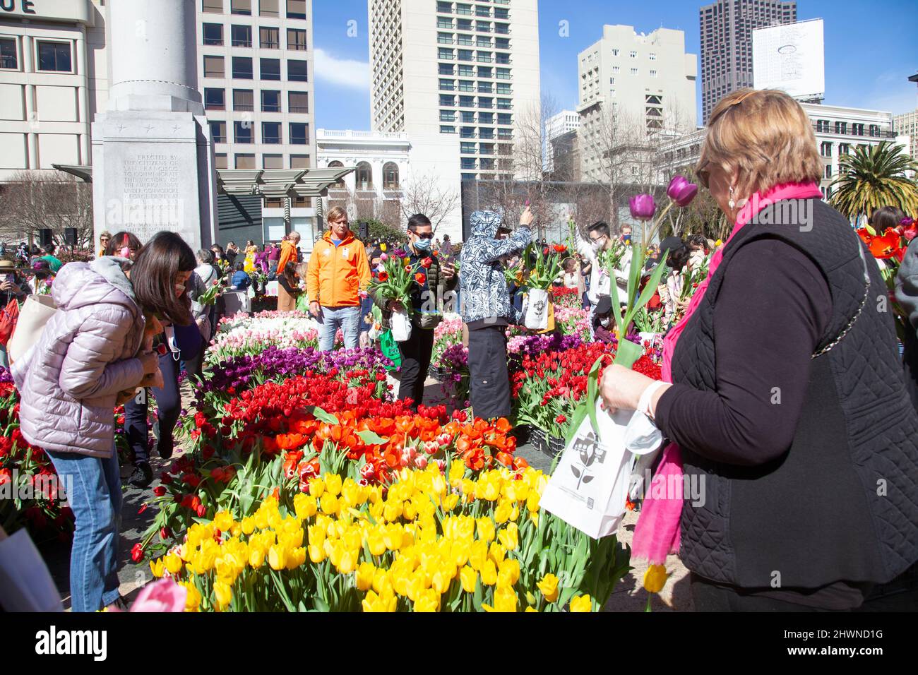 Tulipani gratis pesca migliaia a S.F. Union Square, California Foto Stock