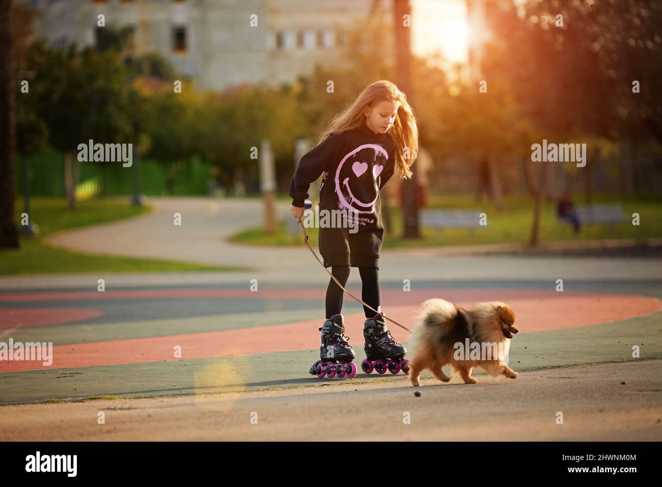 Piccola bella ragazza su pattini a rotelle cammina un cucciolo nel parco Foto Stock