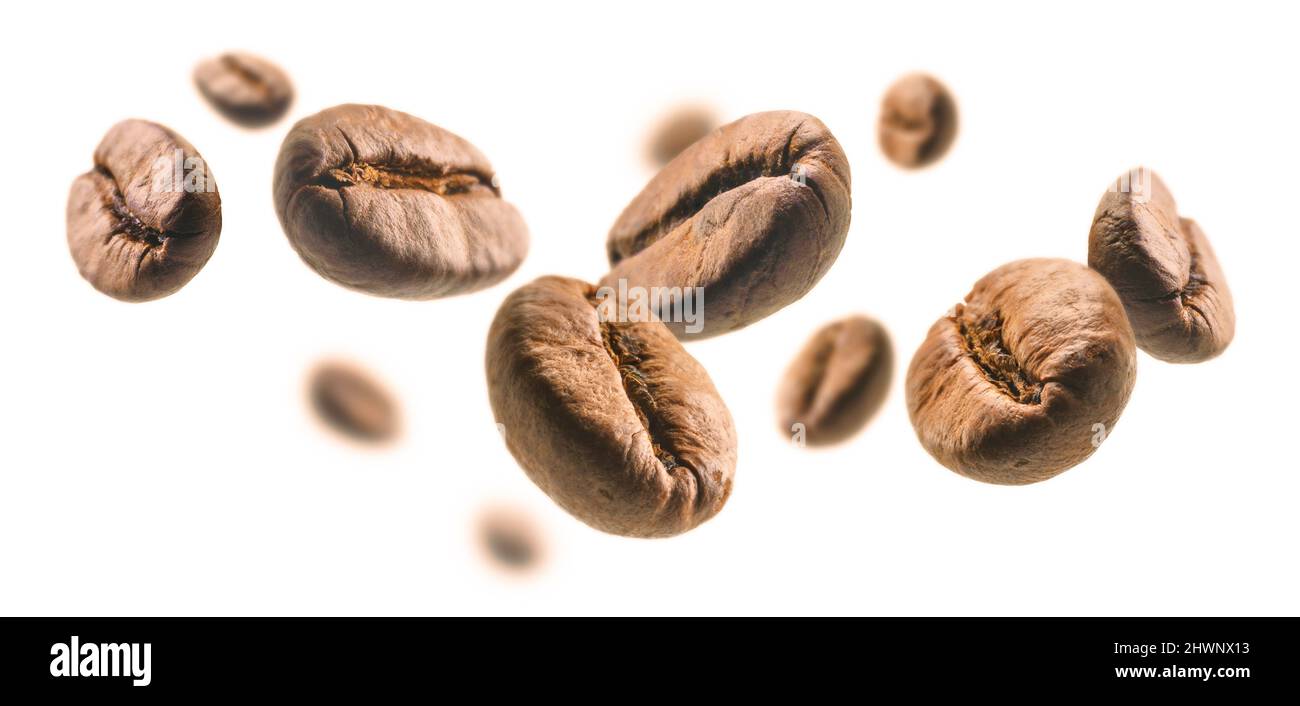 I chicchi di caffè si levitano su sfondo bianco Foto Stock