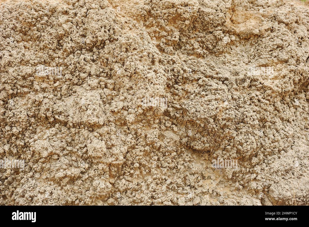 Consistenza porosa della pietra arenaria in riva al mare Foto Stock