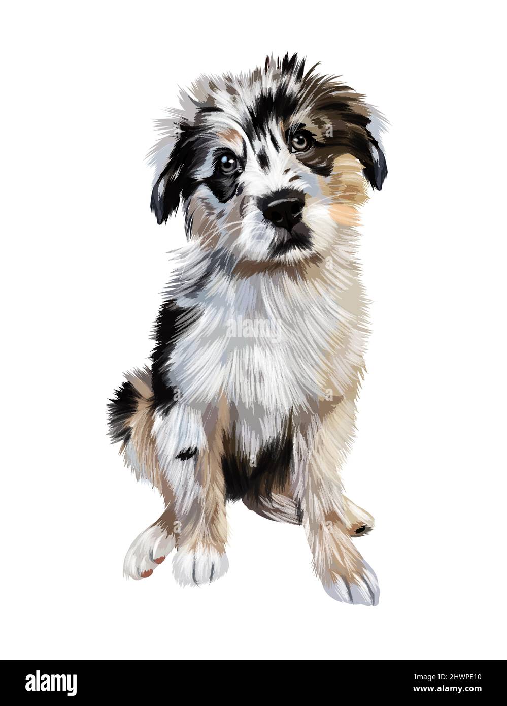 Cane Pastore australiano seduto da pitture multicolore. Disegno colorato. Illustrazione vettoriale di vernici Illustrazione Vettoriale