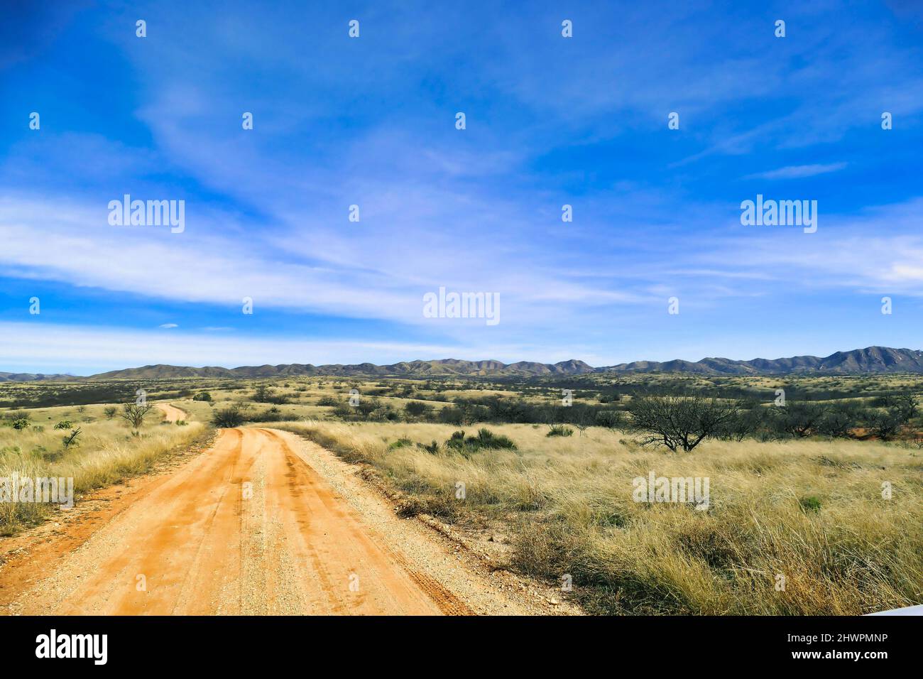 Strada non asfaltata attraverso le praterie desertiche di Buenos Aires National Wildlife Refuge, Pima County, Arizona, USA Foto Stock