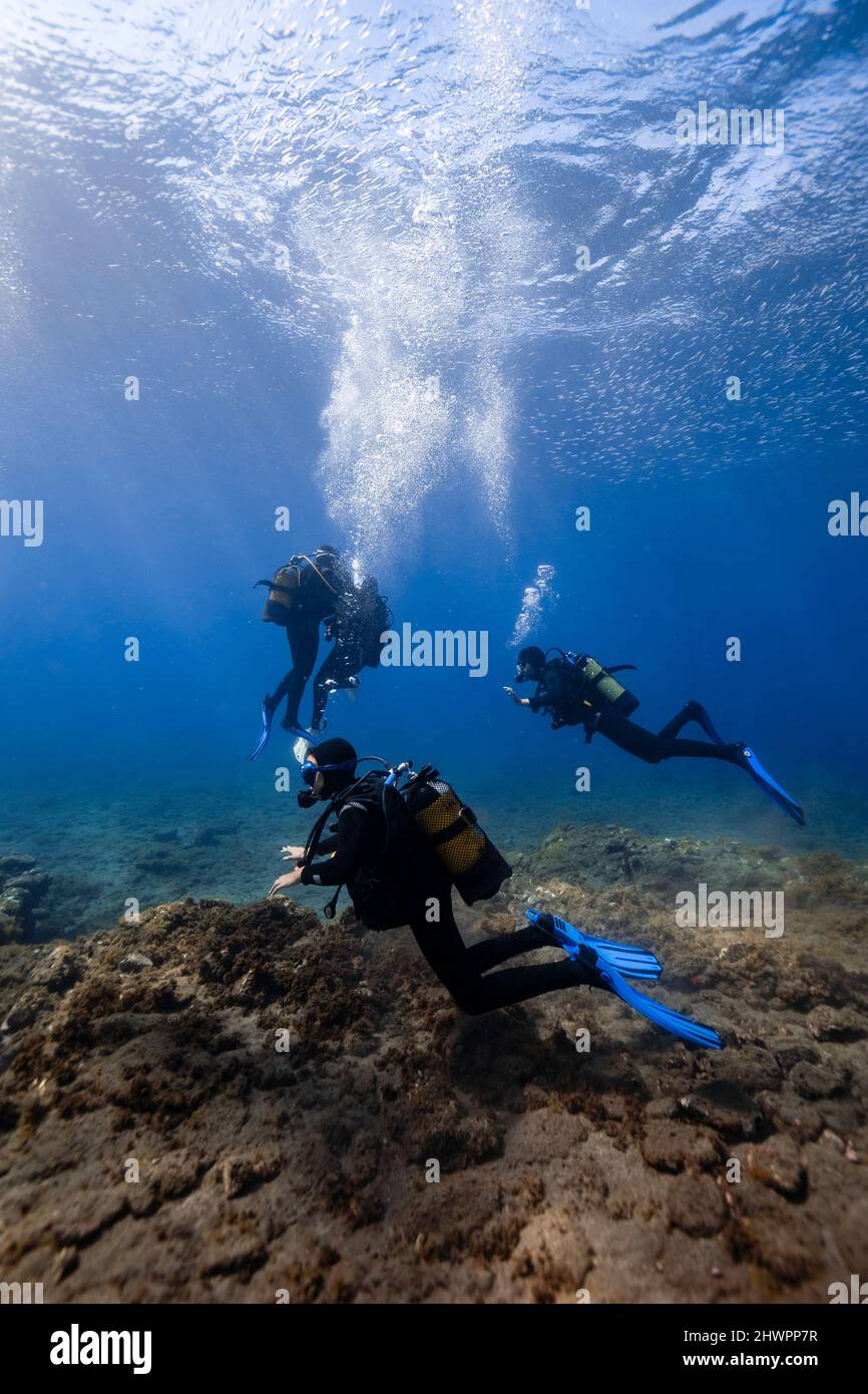 Amici che si tuffano sul pavimento dell'oceano insieme sotto il mare Foto Stock
