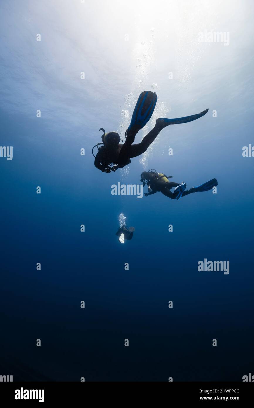 Amici con attrezzatura subacquea in mare blu Foto Stock