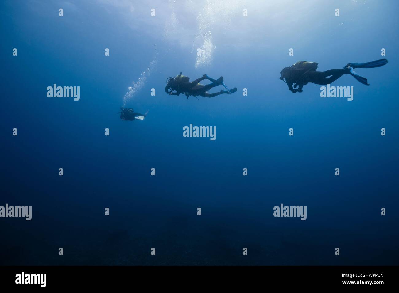 Giovani amici con attrezzatura subacquea in mare blu Foto Stock