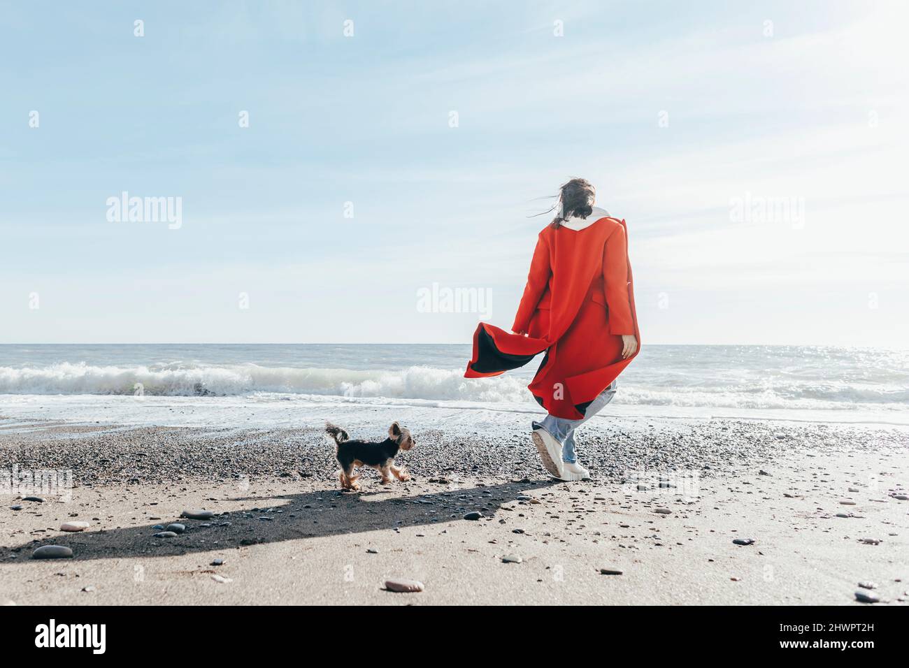 Donna con cane che ammira il mare in spiaggia Foto Stock